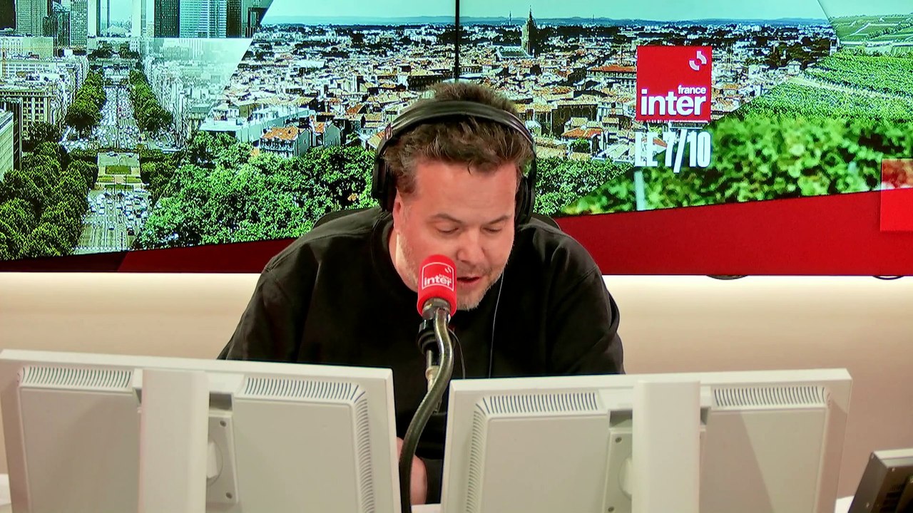 Mais qu'est-ce qui aggrave nos allergies au pollen ? - En toute subjectivité, Dov Alfon