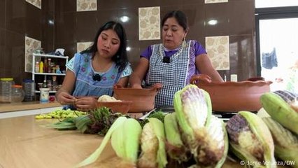 Defender la milpa y el maíz nativo