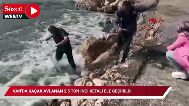 Van'da kaçak avlanan 2,5 ton inci kefali ele geçirildi