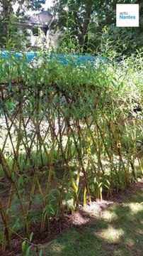 À Nantes, les crèches se débarrassent de leur pelouse synthétique pour des jardins