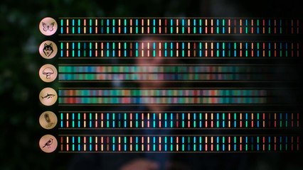 Cosmos A Spacetime Odyssey.S01e02