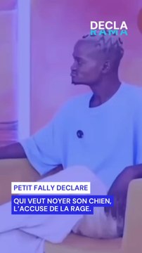DéclaFlash Humour : Que pensez-vous de la déclaration Flash de Petit Fally l’artiste chanteur congolais le plus en vogue du moment ?« Qui veut noyer son chien, l’accuse de la rage »