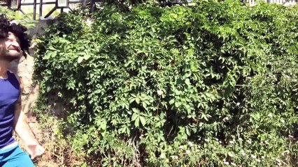 Aile Temalı Kolaj  Aykut Elmas ahhaah