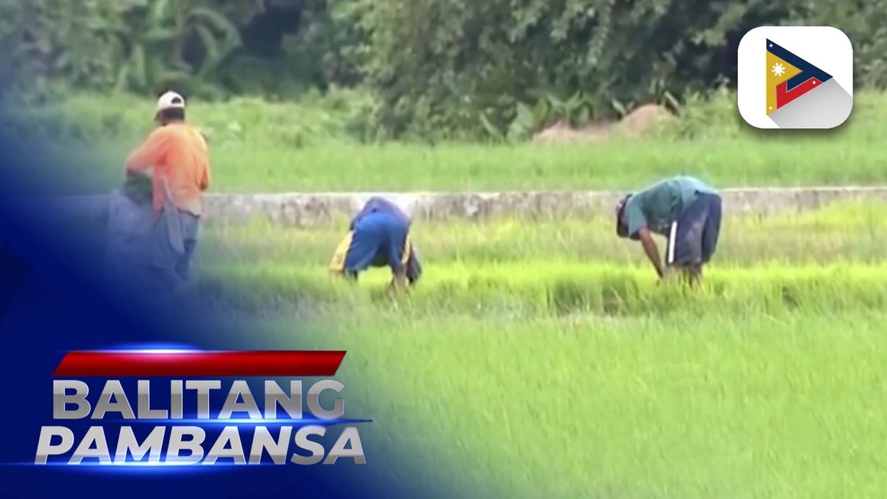 Mga magsasaka, may mungkahi para mas maging epektibo ang pagpapatupad sa...