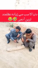 دنیا کے سب سے عقلمند انسان