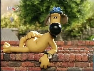 Janko Strižić Profile Overview