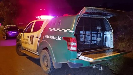 Pancadaria! briga entre brasileiro e cubanos mobiliza GM até a Região do Lago
