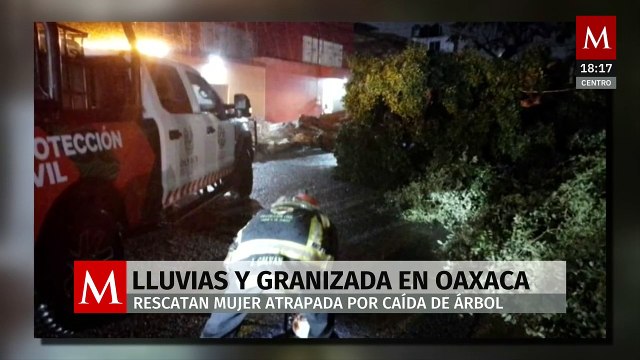 Rescatan a mujer atrapada por caída de árbol debido a lluvias en Oaxaca