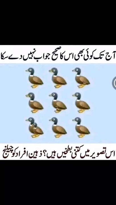 Challenge for you