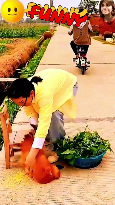 🤣😜🤫 मारे झपट्टा... #funny #comedy funny  comedy  shorts  funny short  comedy shorts  shorts video  joke  lol  laughter  memes  funnymoments  dailymotion  suddug funny video comedy videos shorts funny shorts viral shor #shorts #funnyshort #comedyshorts