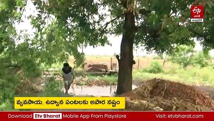 రాష్ట్రవ్యాప్తంగా భారీ వర్షాలు-పిడుగుపాటుకు ఏడుగుర