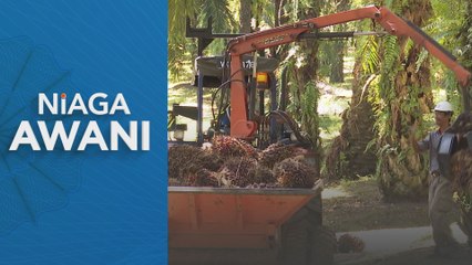 Niaga hadapan MSM dijangka terus tertekan akibat stok dan permintaan