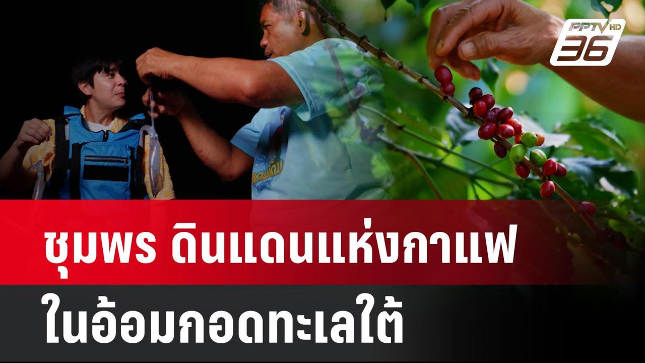 ชุมพร ดินแดนแห่งกาแฟ ในอ้อมกอดทะเลใต้ | โชว์ข่า...