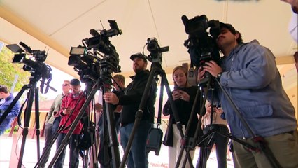 Labor’s dominance in WA continues, Chaney claims Curtin