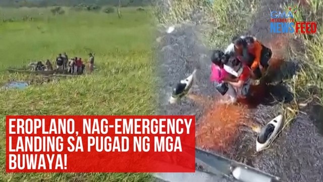 Eroplano, nag-emergency landing sa pugad ng mga buwaya! | GMA Integrated Newsfeed