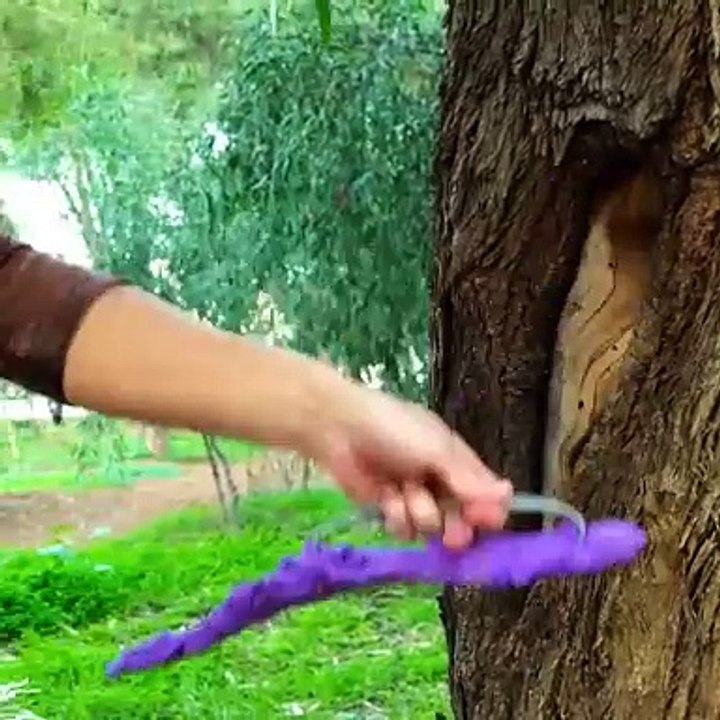 Forest tricks and tips