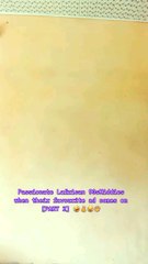 Passionate Lafrican 90sKiddies when their favourite ad comes on [PART 2] 🤣✌️😂👋