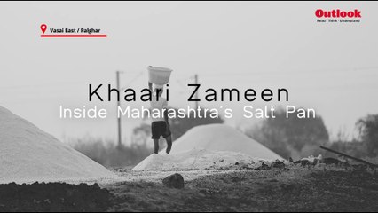 WATCH | Mumbai’s ₹53,000 Crore Salt Pans Face Redevelopment—But What About the Workers?