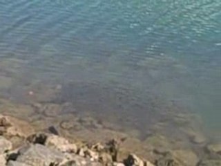 Algarve review - Vilamoura Harbour clear blue waters