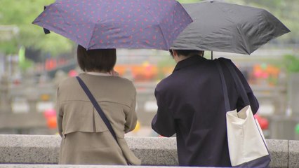 [날씨] 흐린 하늘 속 봄비...서울 내리는 비의 양 적어 / YTN