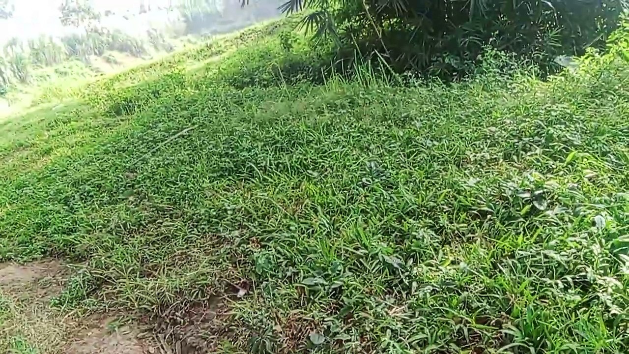 Gunung katu 2 wagir