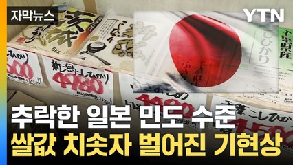 [자막뉴스] 추락한 일본 민도 수준...쌀값 치솟자 벌어진 기현상 / YTN