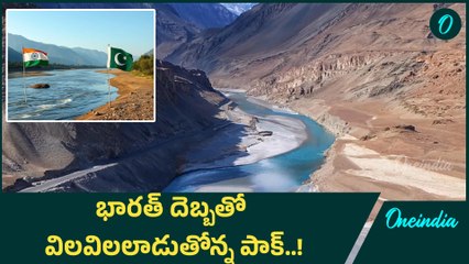 Pahalgam Attack: పాకిస్థాన్ ను అష్టదిగ్భంధనం చేస్తున్న భారత్ | Oneindia Telugu