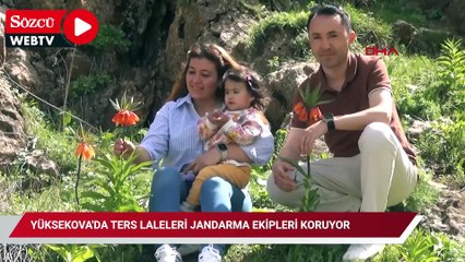 Yüksekova'da ters laleleri jandarma ekipleri koruyor