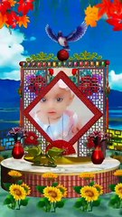 VID-20240727-WA0045