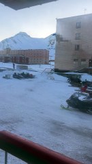 Homme armé vs Ours Polaire