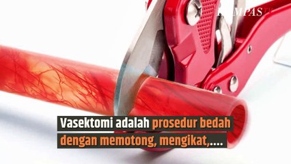 Ramai soal Usulan Vasektomi Syarat Terima Bansos, Rupanya Ini Dampaknya untuk Pria | SINAU