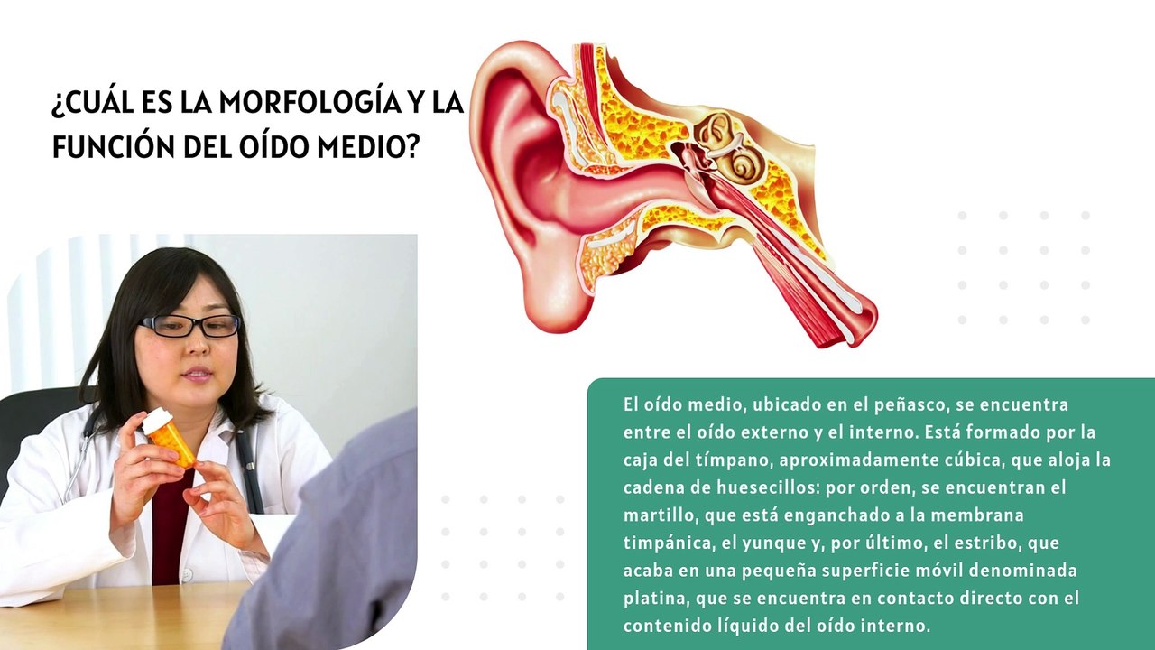 [#Podcast] Los problemas de la audición y del oído en 200 preguntas
