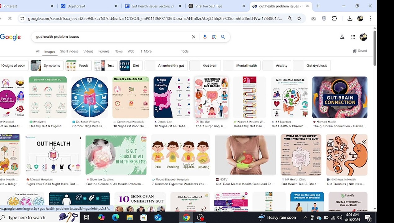 Schedule 30 Days of Pinterest Posts & Earn on Autopilot with Digistore24!