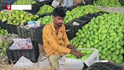 आम को पकाने के लिए लिए कैल्शियम कार्बाइड का हो रहा इस्तेमाल! किसानों ने मांग में गिरावट का अंदेशा जताया