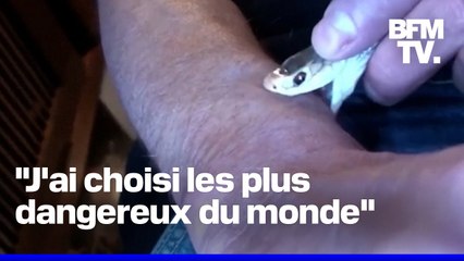 Le sang d’un homme mordu 200 fois par des serpents pourrait permettre la création d’un antivenin