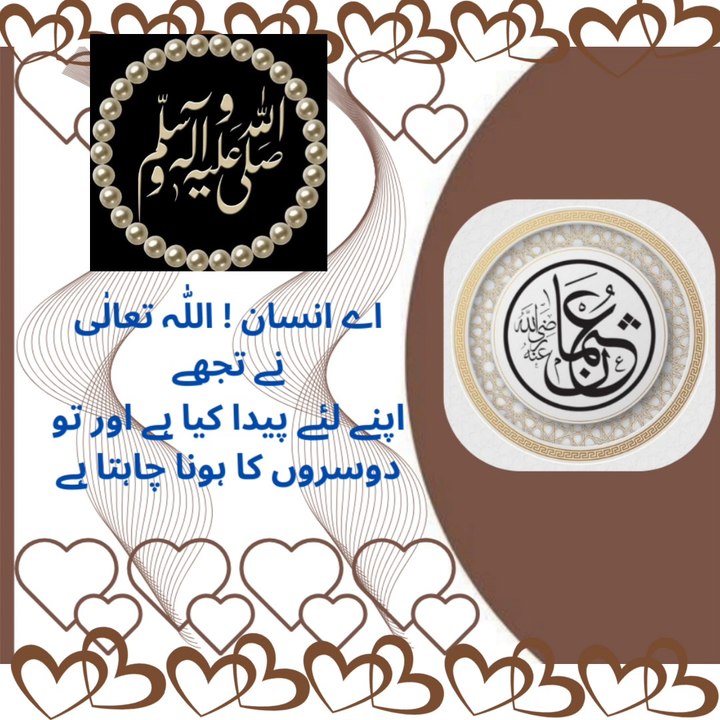Quotes aqwal e zareen