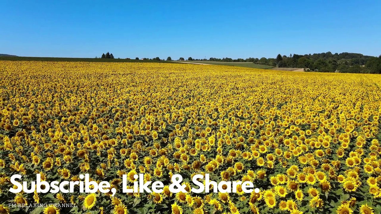 Meditation For Inner Peace | Relaxing Music For Meditation, Yoga, Zen, Healing, Deep Sleep