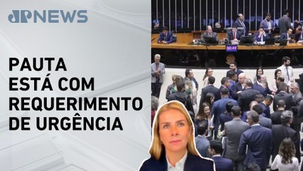 Câmara deve analisar aumento de número de deputados; Deysi Cioccari comenta