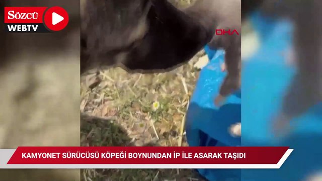 Kamyonet sürücüsü köpeği boynundan ip ile asarak taşıdı