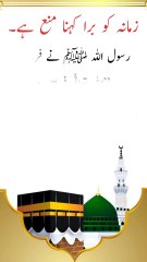 Zamane ko bura kehna mana hai