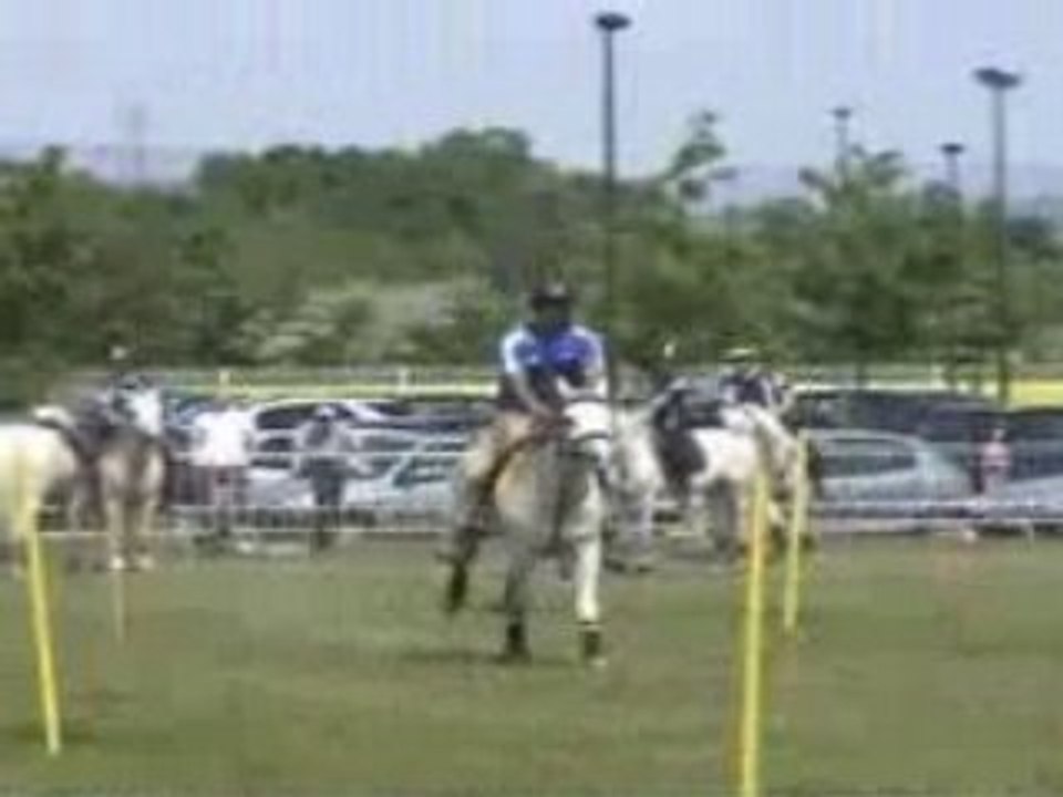4 Drapeaux 4/05/08 OPEN ELITE