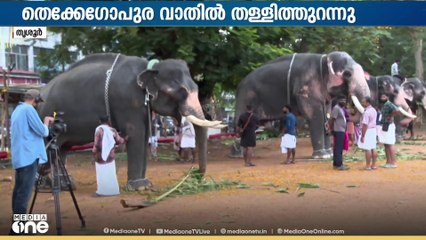 പൂരത്തിനൊരുങ്ങി തൃശൂർ; ഒരുക്കങ്ങൾ അവസാനഘട്ടത്തിലേക്ക്; ‌‌‌പഴുതടച്ച സുരക്ഷാക്രമീകരണങ്ങൾ