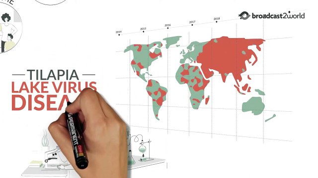 Spreading Awareness with Whiteboard Animation for OIE