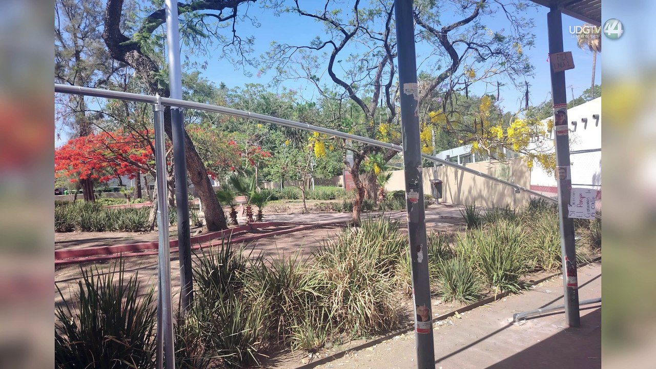 Comerciantes derriban malla en el Parque Rojo y bloquean Avenida Juárez, algunos aceptan reubicación