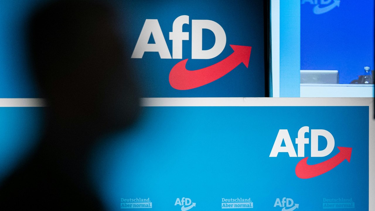 'Gesichert rechtsextremistisch' – AfD verklagt Verfassungsschutz