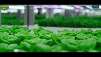 Năm 2075 Con Người dùng chính Cơ thể tạo ra Nước - REVIEW PHIM