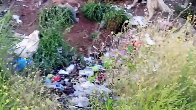 Καμηλόβρυση- Λαμία: Με ένα πεντάλεπτο βίντεο καταγγέλλουν την κατάσταση στον καταυλισμό οι ρομά- Δείτε τι ζητάνε