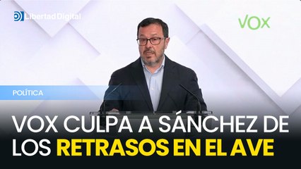 Vox culpa a Sánchez de los retrasos en el AVE por su "nefasta gestión"