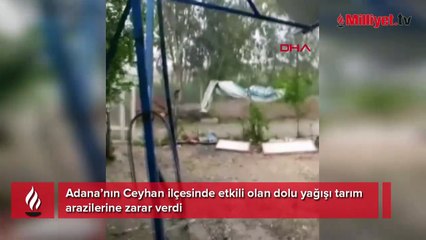 Ceviz büyüklüğünde! Dakikalar içinde her yer beyaza büründü