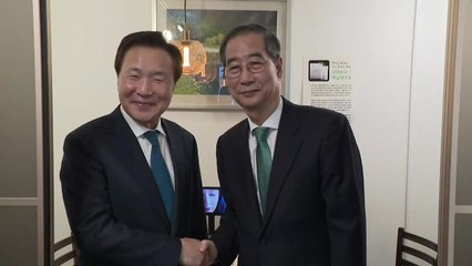 한덕수, 손학규와 만찬..."개헌하고 3년 임기 뒤 떠날 것" / YTN